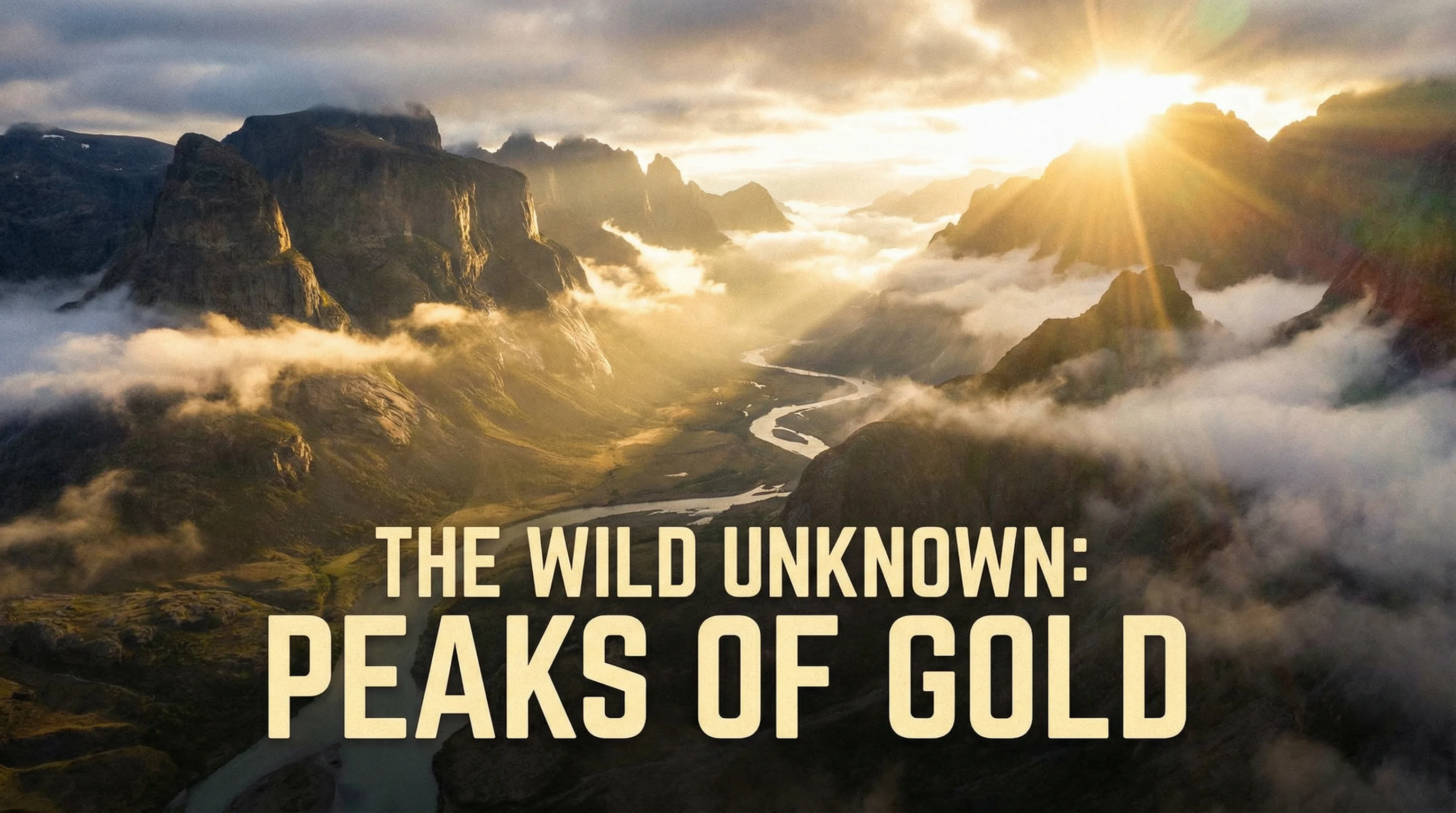 麻豆视频四虎影院特色内容